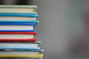 traducción literaria